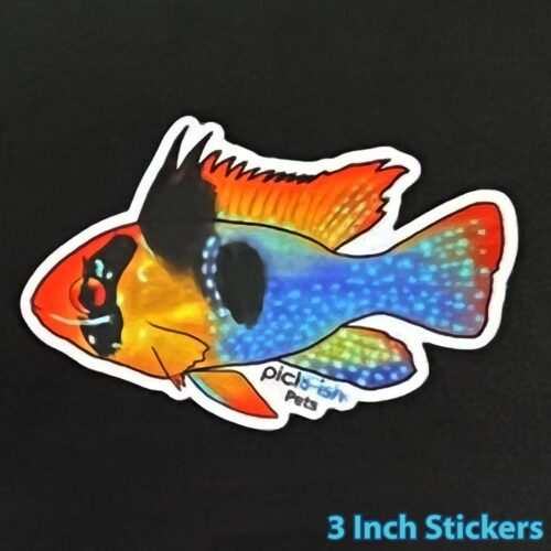 3 Inch Stickers