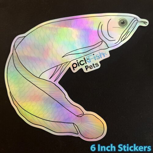 6 Inch Stickers