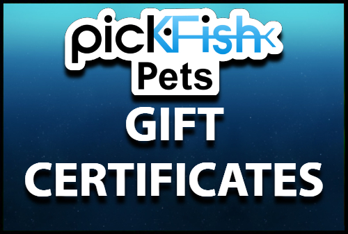 Gift Certificates